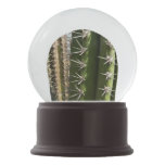 Barrel Cactus II Desert Nature Photo Snow Globe