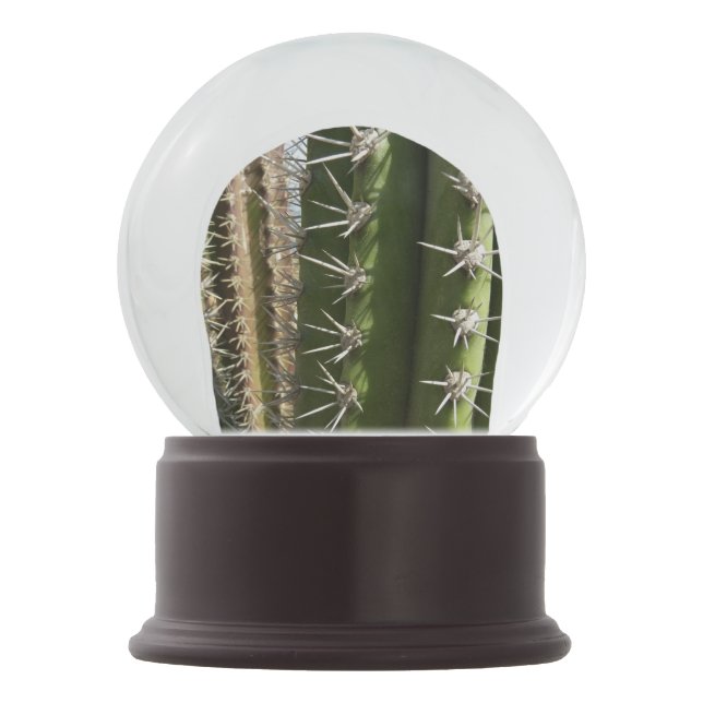 Barrel Cactus II Desert Nature Photo Snow Globe (Front)