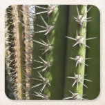 Barrel Cactus II Desert Nature Photo Square Paper Coaster