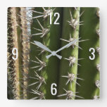 Barrel Cactus II Desert Nature Photo Square Wall Clock