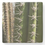 Barrel Cactus II Desert Nature Photo Stone Coaster