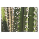 Barrel Cactus II Desert Nature Photo Tissue Paper