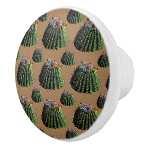 Barrel Cactus Knobs