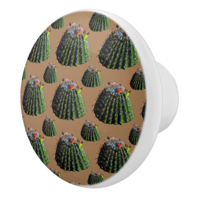 Barrel Cactus Knobs (Right)