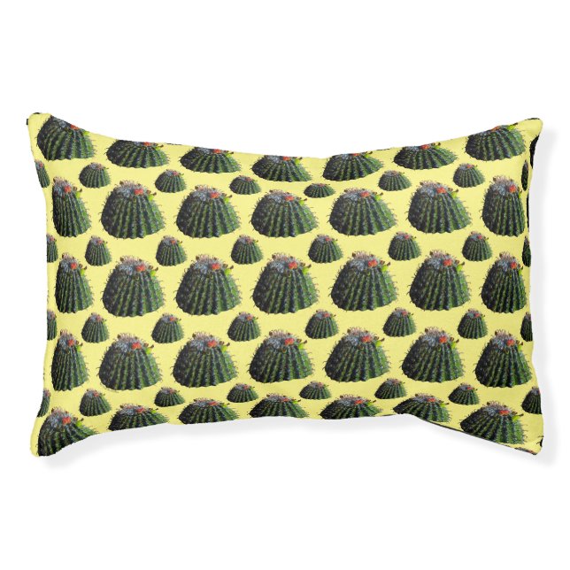 Barrel Cactus Pet Bed (Front)