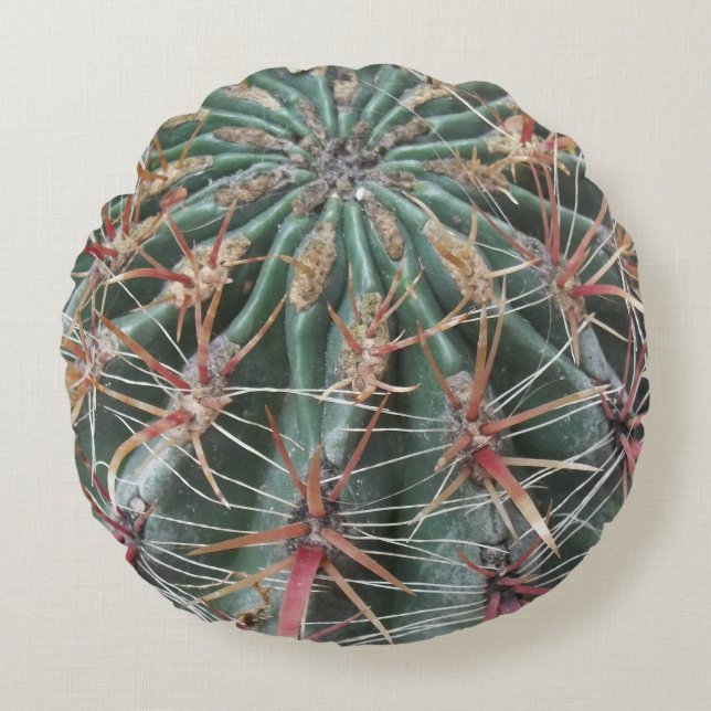 Barrel Cactus Southwest Cacti Desert Plants Round Pillow (Front)