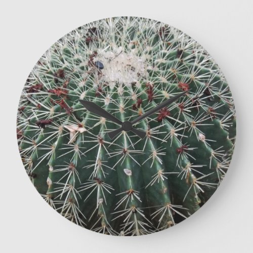Barrel Cactus Southwest Design Desert Plants Large Clock