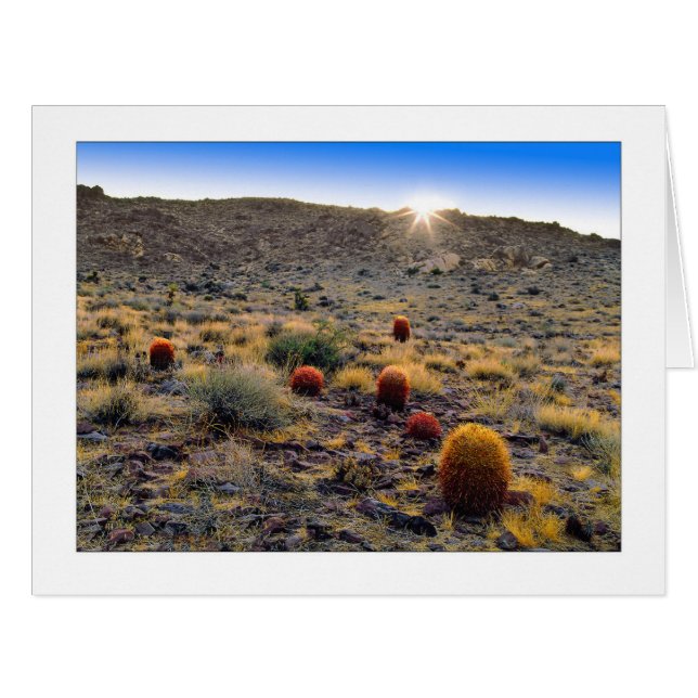 "Barrel Cactus Wake Up Call" Cards (Front Horizontal)
