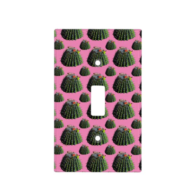 Barrel Cactus Wall Plates (Front)