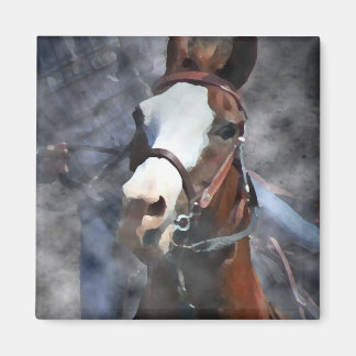 BARREL HORSE MAGNET