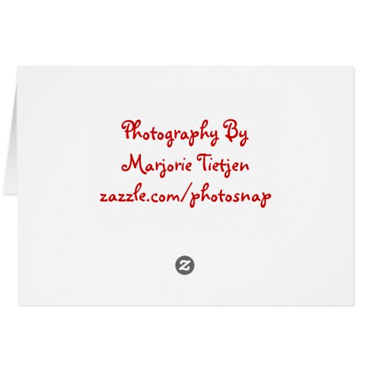 Barrel Of Flowers (Back Horizontal)