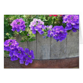 Barrel Of Flowers (Front Horizontal)