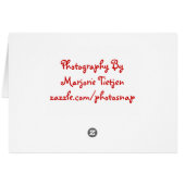 Barrel Of Flowers Cards (Back Horizontal)