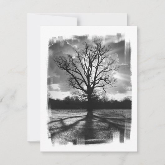 Barren Branches Tree (Front)