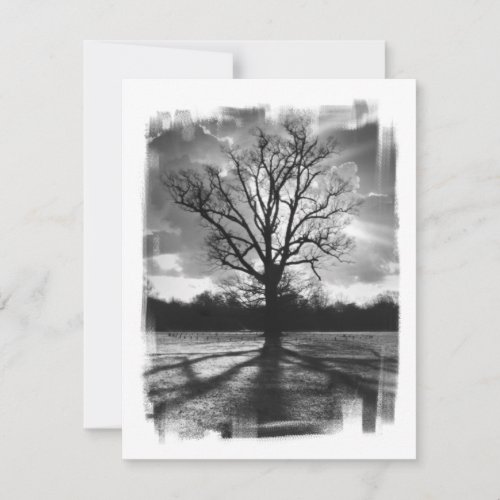 Barren Branches Tree Personalized Invitations
