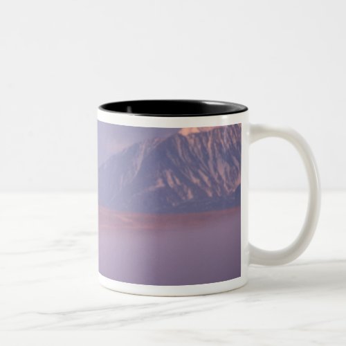 Barren ground caribou Porcupine herd on calving Two_Tone Coffee Mug