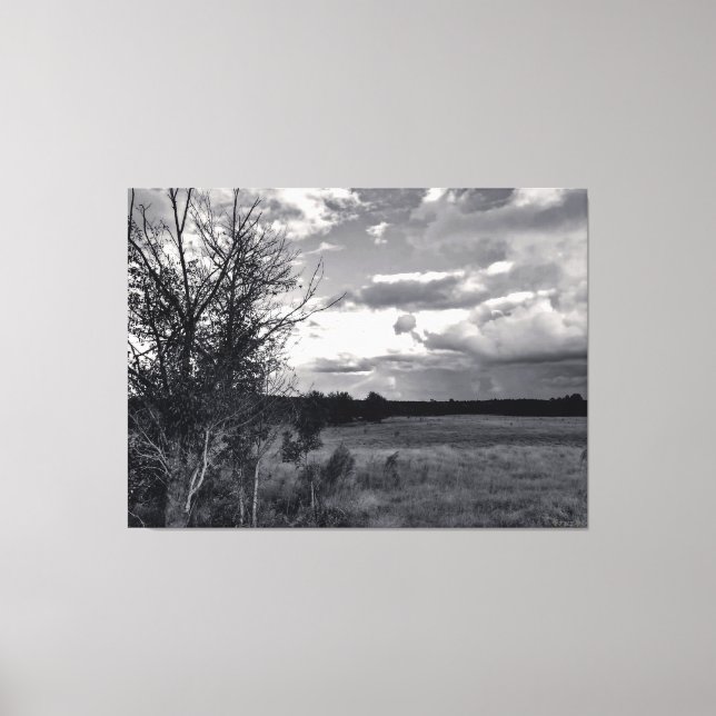 Barren Tree Under Cloudy Sky Canvas Print (Front)