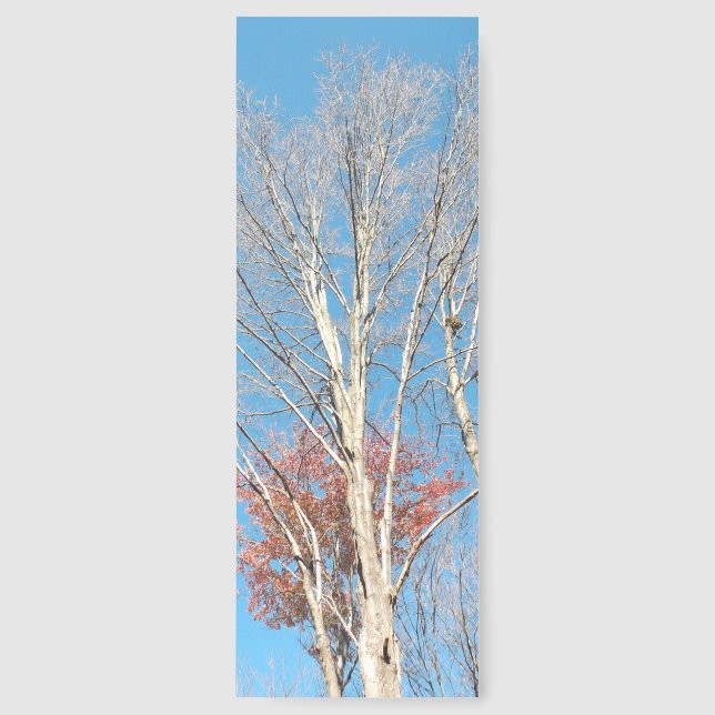 Barren Trees Bookmarks (Front)