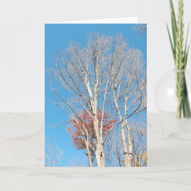 Barren Trees Card (Front)