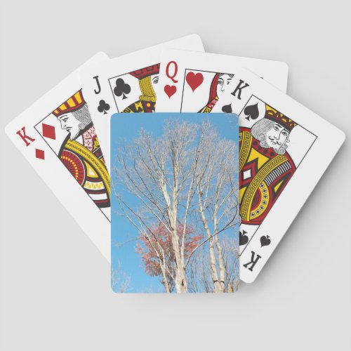 Barren Trees Poker Cards