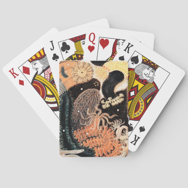 Barrier Reef Anemones Poker Cards (Back)