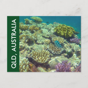 barrier reef queensland postcard