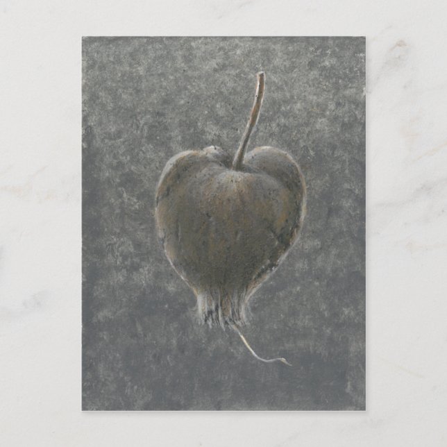 Barringtonia Acutangula  2 Postcard (Front)