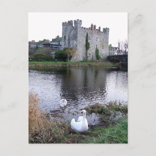 Barrow River Swan, White's Castle Athy Co. Kildare Postcard (Front)