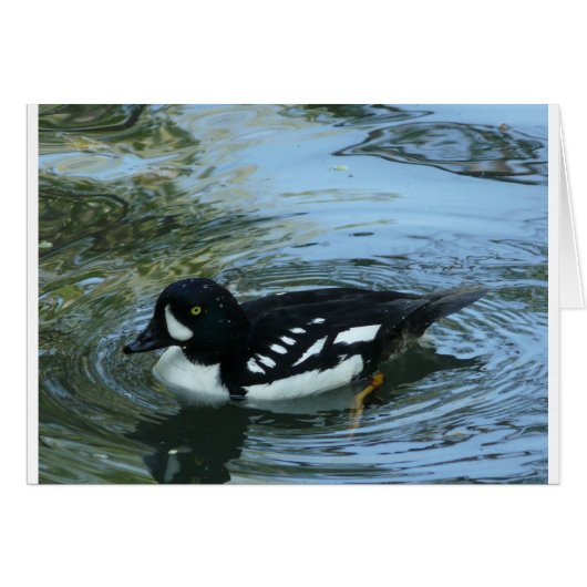 Barrows goldeneye cards (Front Horizontal)