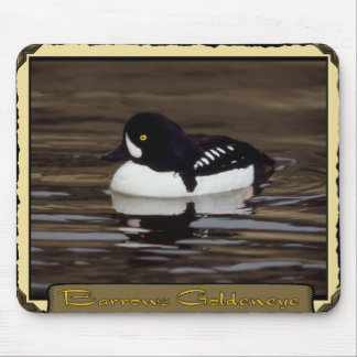 Barrows Goldeneye on Calm Lake Mousepad