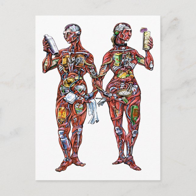 Bartender Anatomy (male & female) Postcard (Front)