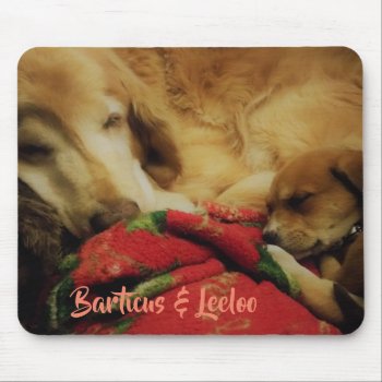 Barticus & Leeloo Mousepad by dbrown0310 at Zazzle