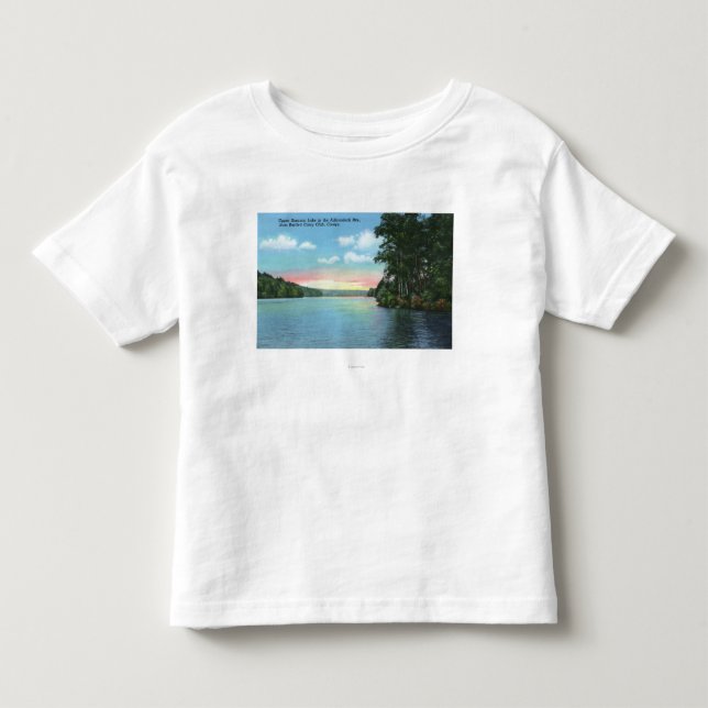 Bartlett Carry Club View of Upper Saranac Lake Toddler T-shirt (Front)