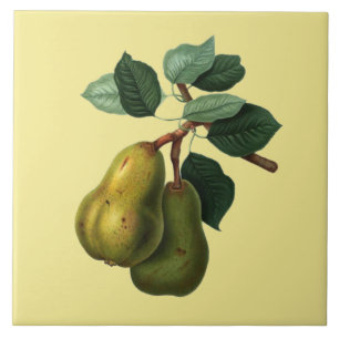 Bartlett Pears Botanical ~ Any Color Background ~ Ceramic Tile