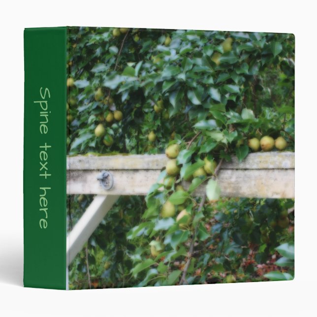 Bartlett Pears On Tree Art Personalized 3 Ring Binder (Front/Spine)