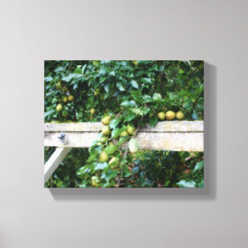 Bartlett Pears On Tree Hitching Post Canvas Print