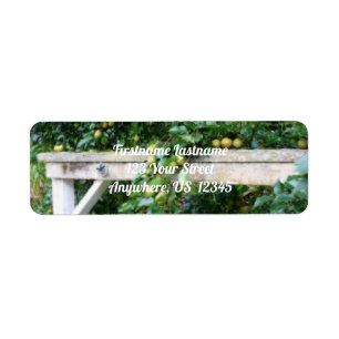 Bartlett Pears On Tree Orton Effect Address Label