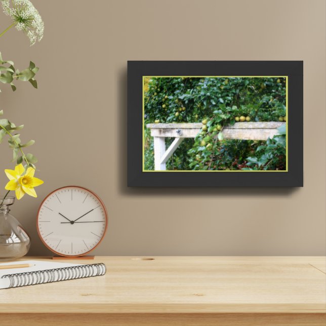 Bartlett Pears On Tree Orton Effect Framed Framed Art (Table Top)