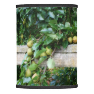 Bartlett Pears On Tree Orton Effect Lamp Shade