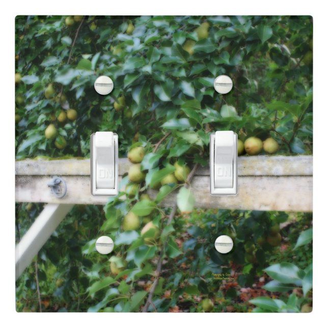 Bartlett Pears On Tree Orton Effect  Light Switch Cover (In Situ)