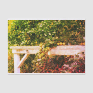 Bartlett Pears On Tree Vintage Look Decoupage Tissue Paper