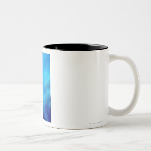 Bartletts anthias Two_Tone coffee mug