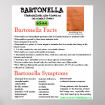 Bartonella Information Fact Sheet Poster
