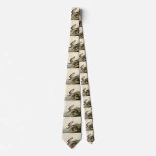 Bartram (Upland) Sandpiper - Audubon Birds America Neck Tie