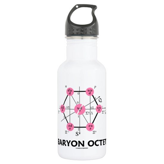 Baryon Octet (Particle Physics) Stainless Steel Water Bottle