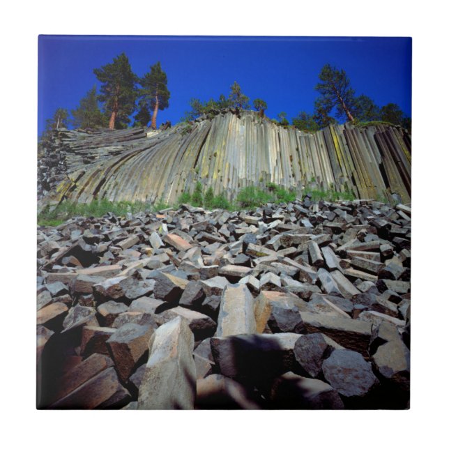 Basalt Formations of Devils Postpile Tile (Front)