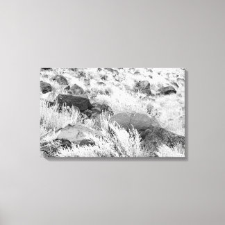 Basalt Lava Rocks in Desert, Black and White Photo Canvas Print