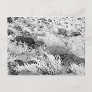 Basalt Lava Rocks in Desert, Black and White Photo Postcard