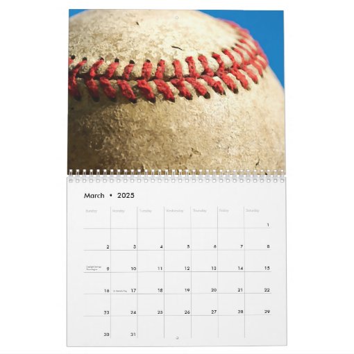 Baseball Calendar | Zazzle