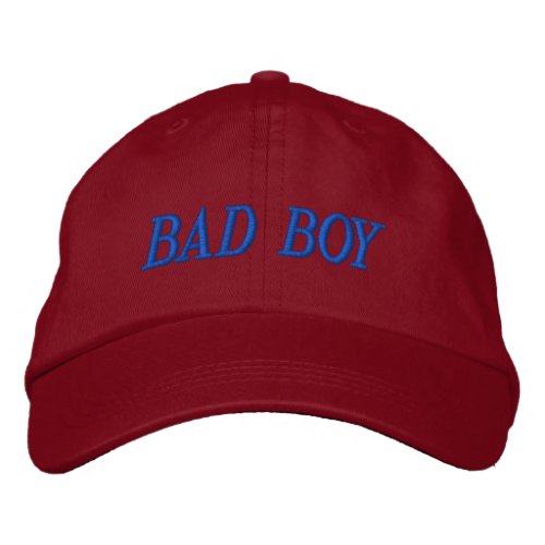 Baseball caps with witty funny and salty sayings